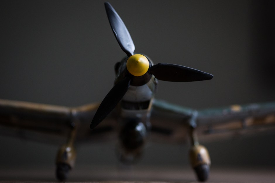 2017-06_06_KH_joe_0020